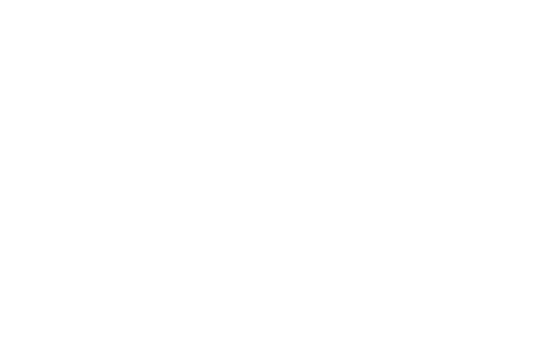 Saving one dog - quote